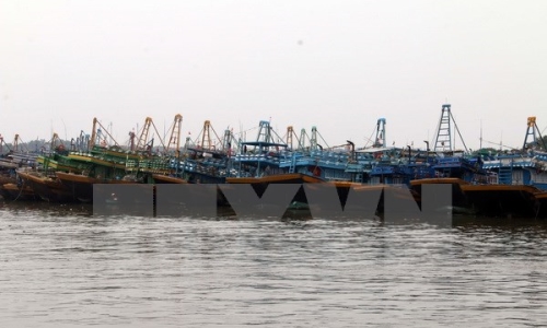 Xử lý mạnh tàu cá đánh bắt hải sản vi phạm vùng biển nước ngoài